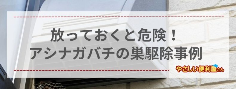 新潟　ハチの巣　駆除事例